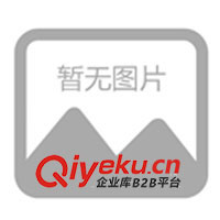 供應(yīng)Dykem Steel Red 油墨